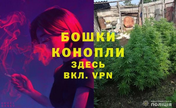 apvp Пересвет