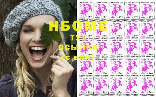 крисы Абаза