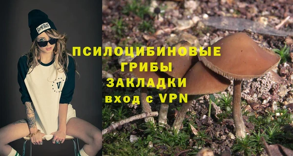 крисы Абаза