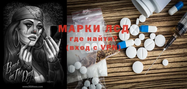 крисы Абаза