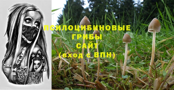 гидропоника Покачи