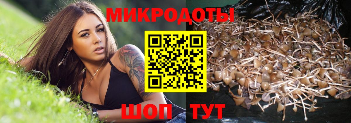 Галлюциногенные грибы мухоморы  Вход с VPN  Екатеринбург 
