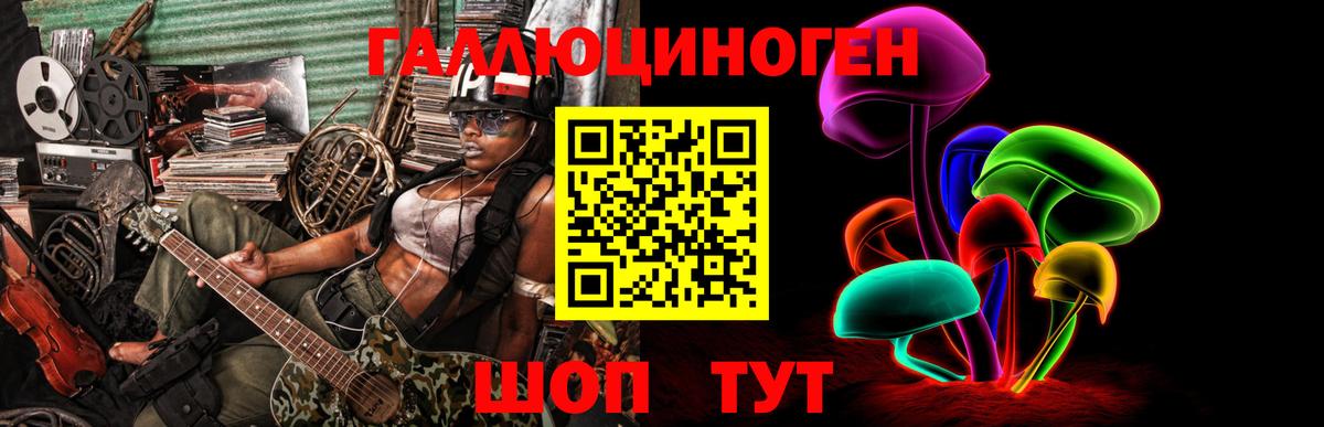 Псилоцибиновые грибы Psilocybine cubensis Екатеринбург